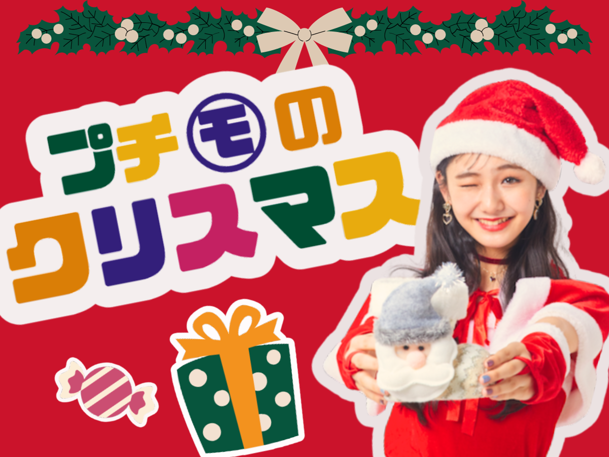 プチ㋲がお願いしたクリスマスプレゼントは？ サンタさんとの 